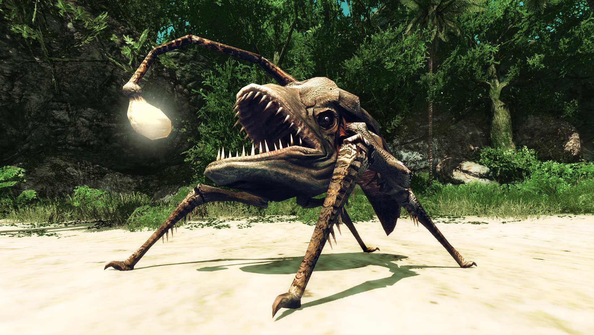 Risen 2: Dark Waters (Edición Coleccionista)